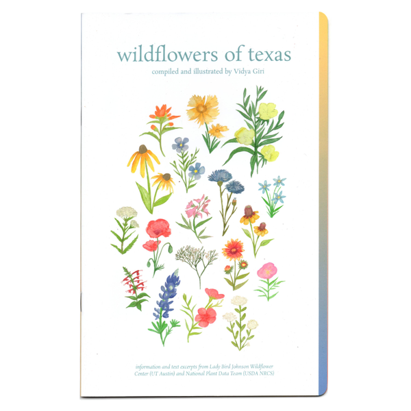 Wildflowers of Texas Zine by Vidya Giri