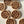 Flower Bud Wood Magnet, Ash Rudolph