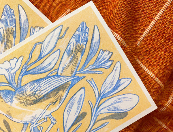 Cornflower Bird Print, Ash Rudolph