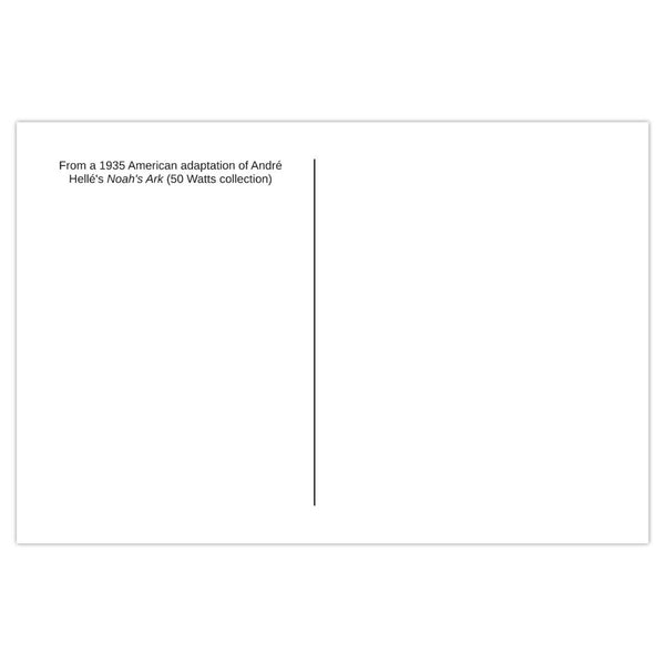 Vintage White Cat Postcard