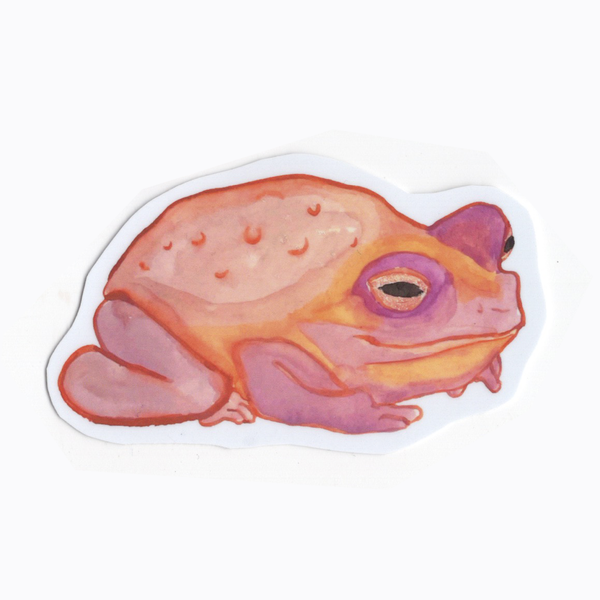 Watercolor Frog Stickers