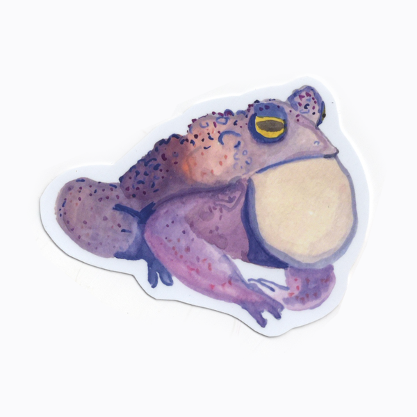 Watercolor Frog Stickers