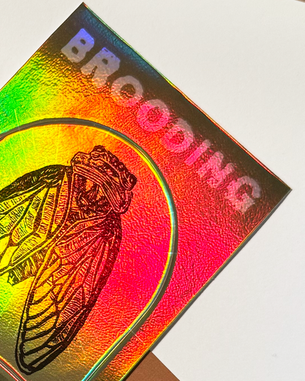 Brooding Sticker, Salted Teeth X Recspec