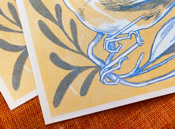 Cornflower Bird Print, Ash Rudolph