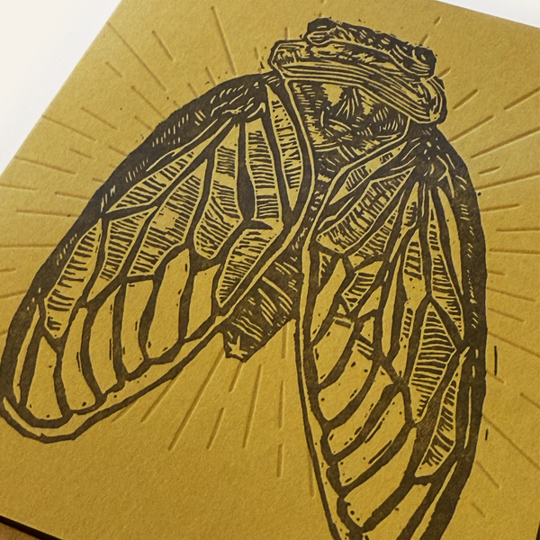 Cicada Letterpress Greeting Card, Salted Teeth