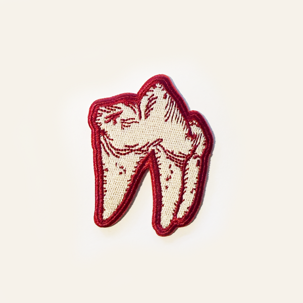 Fox Tooth, Salted Teeth