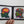 Cand Coated Cortex
