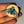 Cicada Pin, Salted Teeth